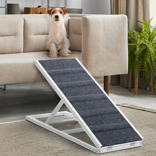 Folding 2024 pet ramp